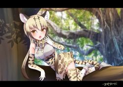 Rule 34 | 10s, 1girl, animal ears, animal print, bad id, bad pixiv id, black hair, blonde hair, day, elbow gloves, fang, gloves, gradient hair, high-waist skirt, highres, kemono friends, letterboxed, long hair, looking at viewer, lying, multicolored hair, ocelot (kemono friends), omoomomo, outdoors, print gloves, print thighhighs, shadow, shirt, shoes, signature, skirt, sleeveless, sleeveless shirt, solo, thighhighs, tree, two-tone hair, white footwear, white shirt, yawning