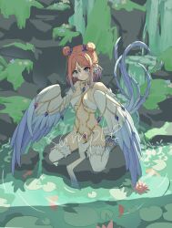 Rule 34 | 1girl, absurdres, animal ears, anklet, bare shoulders, bird ears, bird legs, bird tail, blue feathers, blush, braid, chinese commentary, commentary request, crown braid, double bun, feathered wings, feathers, gradient hair, hair bun, harpy, highres, jewelry, kneeling, kulomi, lily pad, long hair, long tail, midriff, monster girl, moss, multicolored hair, navel, original, pelvic curtain, pink hair, pong, purple eyes, purple hair, revealing clothes, solo, sweatdrop, tail, talons, water, waterfall, wavy mouth, white feathers, winged arms, wings