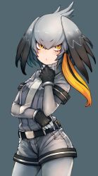 Rule 34 | 10s, 1girl, belt, belt buckle, bird wings, black belt, black gloves, black hair, bodystocking, breast pocket, breasts, buckle, chobi (sakuyasakuhana), closed mouth, collared shirt, cowboy shot, crossed arms, fingerless gloves, fingernails, gloves, grey background, grey hair, grey necktie, grey pantyhose, grey shirt, grey shorts, hair between eyes, hair ornament, hair tie, hand on own chin, hand up, head wings, highres, kemono friends, legs apart, long hair, long sleeves, looking at viewer, low ponytail, multicolored hair, necktie, orange eyes, orange hair, pantyhose, pocket, shirt, shoebill (kemono friends), short sleeves, shorts, side ponytail, simple background, sleeve cuffs, small breasts, solo, tsurime, two-tone hair, wing collar, wings