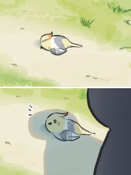Rule 34 | 1other, 2koma, artist name, bird, chibi, comic, commentary, english commentary, genshin impact, grass, highres, shadow, silhouette, xinzoruo