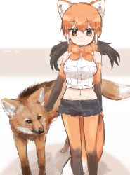 Rule 34 | 10s, 1girl, :3, animal ears, bare shoulders, breasts, closed mouth, commentary request, denim, denim shorts, elbow gloves, fur collar, gloves, groin, hair between eyes, highres, kemono friends, large breasts, long hair, looking at viewer, maned wolf, maned wolf (kemono friends), multicolored hair, navel, orange gloves, orange hair, orange neckwear, orange pantyhose, pantyhose, petting, short shorts, shorts, sleeveless, smile, solo, standing, stomach, tail, tatsuno newo, twitter username, wolf ears, wolf girl, wolf tail