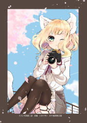 Rule 34 | 1girl, ;&lt;, animal ear fluff, animal ears, black thighhighs, blonde hair, blue sky, blush, border, brand name imitation, camera, cat ears, cat girl, cat tail, cherry blossoms, closed mouth, day, eyebrows hidden by hair, fence, flower, frilled skirt, frills, green eyes, grey border, grey skirt, highres, holding, holding camera, knees up, long hair, long sleeves, mito (go!go!king!), neck ribbon, o-ring, one eye closed, original, outdoors, petals, pink flower, pleated skirt, red ribbon, ribbon, shirt, sitting, skirt, sky, sleeves past wrists, solo, tail, thighhighs, white shirt