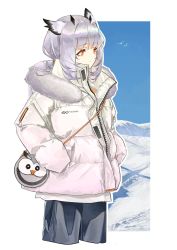 Rule 34 | 1girl, animal, arknights, awakeningdog, bird, blue shorts, border, coat, commentary request, cowboy shot, cropped legs, fur-trimmed hood, fur trim, grey hair, hand in pocket, highres, hood, looking to the side, orange eyes, outdoors, outside border, owl ears, ptilopsis (arknights), shirt, shorts, shoulder pouch, snow, solo, unzipped, white border, white coat, white shirt, winter clothes, winter coat