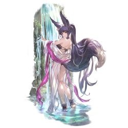 Rule 34 | 1girl, animal ears, bikini, closed mouth, erune, fox ears, fox girl, fox tail, from behind, full body, granblue fantasy, hair ornament, hand on own shoulder, hand up, long hair, looking at viewer, looking back, minaba hideo, official art, ponytail, purple eyes, purple hair, see-through, shawl, simple background, smile, solo, standing, swimsuit, tail, third-party edit, transparent background, wading, water, wet, wet clothes, yuel (granblue fantasy)
