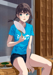 Rule 34 | 1girl, between legs, black shorts, blue eyes, blue shirt, braid, brown hair, commentary request, dolphin print, feet out of frame, hand between legs, hand fan, highres, hiwatari rin, holding, looking at viewer, mosquito coil, open mouth, original, paper fan, print shirt, shirt, short eyebrows, short shorts, shorts, sitting, solo, sweat, thick eyebrows, twin braids, twintails, uchiwa