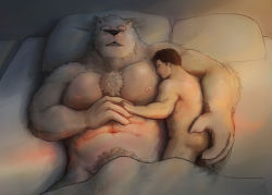 Rule 34 | 2boys, abs, animal ears, bara, bear boy, bear ears, blush, body fur, chizo (chizo67), couple, face to pecs, facial hair, fluffy, furry, furry male, furry with non-furry, giant, giant male, goatee, hand on another&#039;s ass, holding hands, interspecies, large pectorals, lying, male focus, multiple boys, muscular, muscular male, navel, nipples, on side, original, pectorals, short hair, size difference, sleeping, sleeping on person, stomach, white fur, yaoi