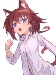 Rule 34 | 1girl, animal ear fluff, animal ears, blue eyes, brown hair, cat ears, cat tail, clenched hand, commentary request, eyebrows hidden by hair, hibun tsukasa, highres, long sleeves, looking at viewer, lyrical nanoha, mahou shoujo lyrical nanoha, medium hair, open clothes, open mouth, shirt, simple background, sleeves rolled up, solo, stern the destructor, tail, upper body, white background, white shirt