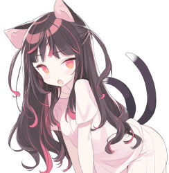 Rule 34 | 1girl, animal ears, black hair, blade (galaxist), breasts, cat ears, cat girl, cat tail, commentary request, long hair, looking at viewer, multicolored hair, multiple tails, nekoyama nae, open mouth, pants, pink hair, pink shirt, red eyes, shirt, short sleeves, simple background, small breasts, solo, streaked hair, tail, tail raised, toranoana, two side up, two tails, very long hair, virtual youtuber, white background, white pants