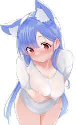 Rule 34 | 1girl, animal ear fluff, animal ears, blue hair, blush, closed mouth, collarbone, commentary request, lactation, lactation through clothes, long hair, plivyou, red eyes, shikai yue, shirt, short sleeves, simple background, solo, t-shirt, tears, terazip, virtual youtuber, white background, white shirt