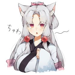 Rule 34 | 1girl, animal ear fluff, animal ears, breasts, commentary request, hankenkaku, large breasts, long hair, long sleeves, looking at viewer, open mouth, parted bangs, sidelocks, simple background, sleeves past wrists, solo, thick eyebrows, touhoku itako, translation request, voiceroid, white background, white hair, wide sleeves