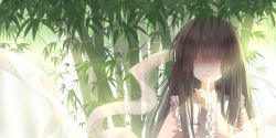 Rule 34 | 1girl, 3000 xiao chun, absurdres, bamboo, bamboo forest, black hair, dappled sunlight, finger to mouth, forest, hair over eyes, highres, hime cut, houraisan kaguya, long hair, long sleeves, nature, shawl, shushing, smile, solo, sunlight, touhou, wide sleeves