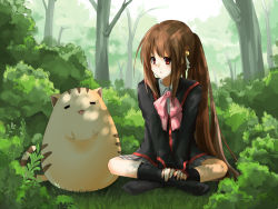 Rule 34 | 1girl, bow, brown hair, cat, doruji, forest, indian style, little busters!, long hair, natsume rin, nature, pink bow, plaid, plaid skirt, ponytail, red eyes, school uniform, seleca, sitting, skirt, solo