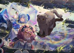 Rule 34 | 1boy, 1girl, animal ears, arknights, bare shoulders, black hairband, blue bow, blue hair, blue headwear, blush, bow, cat, cat ears, closed mouth, day, gloves, goldenglow (arknights), grey cat, hairband, highres, holding, holding umbrella, kikan (kikanoe), lightning bolt print, long hair, long sleeves, mizuki (arknights), outdoors, parted lips, pink hair, puddle, red eyes, reflection, scottish fold, smile, squatting, thighhighs, transparent, transparent umbrella, umbrella, water, weeds, white gloves, white thighhighs, yellow eyes