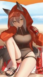 Rule 34 | 1girl, absurdres, animal ears, arknights, black footwear, black one-piece swimsuit, blush, breasts, cameltoe, can, casual one-piece swimsuit, commentary, ears through headwear, foot out of frame, grey hair, groin, hair ornament, highres, holding, holding can, hood, hood up, jacket, jfjf, knee up, large breasts, looking at viewer, official alternate costume, one-piece swimsuit, open clothes, open jacket, outdoors, projekt red (arknights), projekt red (light breeze) (arknights), red jacket, sandals, sitting, solo, swimsuit, tail, thigh strap, v-shaped eyebrows, wolf ears, wolf girl, wolf tail, yellow eyes, zipper