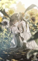 Rule 34 | 1girl, aestivation, black footwear, brown eyes, brown hair, dress, field, flower, flower field, hair ribbon, highres, looking at viewer, medium hair, original, ribbon, squatting, sunflower, sunflower field, white dress