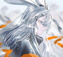 Rule 34 | 1girl, absurdres, animal ears, arknights, blunt bangs, blurry, blurry background, breathing, depth of field, from side, frostnova (arknights), frozen, gawako, grey eyes, grey hair, hair ornament, hair over one eye, hairclip, highres, ice, long hair, orange armband, parted lips, profile, rabbit ears, rabbit girl, scar, scar on face, scar on nose, solo, steam, upper body