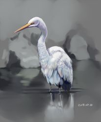 Rule 34 | animal focus, bird, crane (animal), dated, no humans, original, solo, tsuda nanafushi, wading