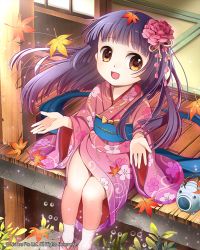 Rule 34 | 1girl, autumn leaves, brown eyes, japanese clothes, long hair, looking at viewer, open mouth, original, purple hair, sitting, smile, solo, tin (wsp85205)