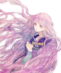 Rule 34 | book, fire emblem, fire emblem: the binding blade, holding, holding book, long hair, looking at viewer, nintendo, purple eyes, purple hair, shourou kanna, simple background, sophia (fire emblem), very long hair, white background