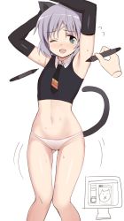 Rule 34 | 1girl, ;d, animal ears, aqua eyes, armpits, arms up, bad id, bad twitter id, blush, cat ears, cat tail, covered erect nipples, flat chest, glastonbury1966, grey hair, navel, one eye closed, open mouth, panties, sanya v. litvyak, short hair, smile, solo, strike witches, stylus, tail, tickling, tickling armpits, underwear, white panties, world witches series