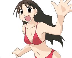 Rule 34 | azumanga daiou, bikini, brown hair, non-web source, red bikini, solo, swimsuit, tanizaki yukari, vector trace, waving