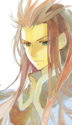 Rule 34 | 00s, 1boy, absurdres, asch (tales), green eyes, highres, long hair, male focus, mooche, portrait, red hair, serious, solo, tales of (series), tales of the abyss