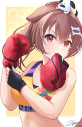 Rule 34 | 1girl, animal ears, blush, bone hair ornament, boxing, boxing gloves, brown eyes, brown hair, commentary, dog, dog ears, dog girl, english commentary, hair ornament, highres, hololive, inugami korone, mouth hold, orange background, shiinochi, simple background, solo, sports bra, virtual youtuber