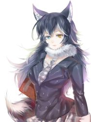 Rule 34 | 10s, 1girl, animal ears, black hair, blue eyes, book, breasts, di tao, fur collar, gloves, grey wolf (kemono friends), heterochromia, kemono friends, large breasts, long hair, long sleeves, looking at viewer, multicolored hair, necktie, simple background, skirt, solo, tail, two-tone hair, white background, wolf ears, wolf tail, yellow eyes