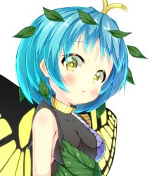 Rule 34 | 1girl, antennae, aqua hair, blush, breasts, butterfly wings, dress, eternity larva, fairy, green dress, insect wings, leaf, leaf on head, medium breasts, multicolored clothes, multicolored dress, ochakan, parted lips, short hair, simple background, single strap, solo, touhou, upper body, white background, wings, yellow eyes