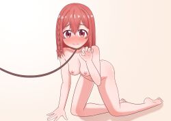 Rule 34 | 1girl, absurdres, all fours, attfluyart, blush, braid, breasts, closed mouth, collarbone, completely nude, dot nose, embarrassed, eyebrows, eyelashes, female focus, full body, gradient background, hand up, highres, kanojo okarishimasu, leash, long hair, looking at viewer, nipples, nose blush, nude, pet play, red eyes, red hair, sakurasawa sumi, shy, simple background, single braid, small breasts, solo, toes, wavy mouth, white background, yellow background