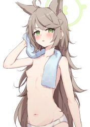 Rule 34 | 1girl, ahoge, animal ears, arm at side, bare shoulders, blue archive, blush, breasts, brown hair, extra ears, green eyes, groin, halo, hand up, highres, long hair, looking at viewer, miso (misomiso 154), navel, nipples, open mouth, otogi (blue archive), panties, sidelocks, simple background, small breasts, solo, topless, towel, towel around neck, uncensored, underwear, upper body, very long hair, wet, wet hair, white background, white panties