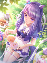 Rule 34 | 1girl, absurdres, animal ears, blue ribbon, blush, bow, chair, collarbone, commentary request, cookie, cup, ear ribbon, food, frilled skirt, frills, from above, glass table, grass, highres, holding, holding cup, holding saucer, horse ears, horse girl, horse tail, long hair, looking at viewer, mejiro mcqueen (umamusume), outdoors, plant, purple eyes, purple hair, purple shirt, ribbon, saucer, shirt, short sleeves, sitting, skirt, smile, solo, sweets, swept bangs, table, tail, tea set, teacup, teapot, tenton (henatyo), thighhighs, umamusume, white skirt, white thighhighs