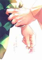 Rule 34 | 2boys, bruise, checkered clothes, flower, hand focus, highres, holding, holding another&#039;s wrist, holding flower, imai, injury, kamado tanjirou, kimetsu no yaiba, long sleeves, male focus, multiple boys, out of frame, pink flower, rengoku kyoujurou, simple background, white background