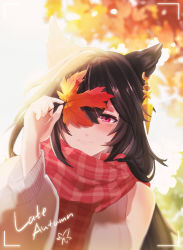 Rule 34 | 1girl, alternate costume, animal ears, autumn leaves, bare shoulders, black hair, blurry, blurry background, blush, closed mouth, detached sleeves, earrings, erune, granblue fantasy, hair over one eye, highres, holding, holding leaf, jewelry, leaf, long hair, nier (granblue fantasy), nowherearora, outdoors, red eyes, red scarf, scarf, smile, sunlight, sweater, taking picture, tree, wide sleeves