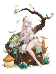 Rule 34 | + +, 1girl, :o, absurdres, aged up, alternate breast size, anklet, aranara (genshin impact), artist name, bare shoulders, barefoot, bird, blue flower, bracelet, breasts, choker, cleavage, creature, crystalfly (genshin impact), dated, detached sleeves, dress, flower, full body, genshin impact, green choker, green eyes, hair between eyes, high heels, highres, jewelry, large breasts, leaf, long hair, mungersky, mushroom, nahida (genshin impact), necklace, open mouth, plant, pointy ears, revision, shoes, short dress, short sleeves, simple background, single shoe, sitting, skindentation, solo, thigh strap, tree stump, very long hair, white background, white dress, white flower, white footwear, white hair