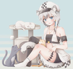 Rule 34 | 1girl, :d, animal ear fluff, animal ears, arknights, armband, asymmetrical legwear, bandeau, bare arms, bare shoulders, belt, beret, black belt, black shorts, black thighhighs, blue background, blue eyes, blush, cat, cliffheart (arknights), collarbone, commentary request, dress, hat, highres, jewelry, looking at viewer, material growth, miaomao, mismatched legwear, no shoes, open clothes, open dress, open mouth, oripathy lesion (arknights), pendant, pocket, short hair, short shorts, shorts, silver hair, single thighhigh, sitting, sleeveless, sleeveless dress, smile, socks, solo, strapless, tail, thighhighs, tiger ears, tiger tail, tube top, uneven legwear, white dress, white hat, white socks