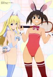 Rule 34 | 2girls, absurdres, animal ears, ass, ball, bare shoulders, blonde hair, blue eyes, blue thighhighs, blush, bow, bowtie, breasts, brown eyes, brown hair, detached collar, elizabeth warren, fake animal ears, female focus, flat chest, grin, highleg, highres, holding, katou hatsue, leotard, long hair, looking at viewer, looking back, megami magazine, multiple girls, non-web source, official art, playboy bunny, rabbit ears, racket, red legwear, sawanatsu kotone, short hair, short twintails, single vertical stripe, small breasts, smile, softenni, standing, teeth, tennis racket, thighhighs, twintails, wrist cuffs
