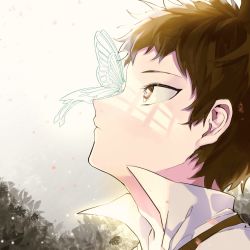 Rule 34 | 1boy, brown eyes, brown hair, bug, butterfly, butterfly on nose, closed mouth, commentary request, danganronpa (series), danganronpa 2: goodbye despair, from side, highres, hinata hajime, insect, looking up, male focus, portrait, profile, shirt, short hair, solo, tuteurfars shin