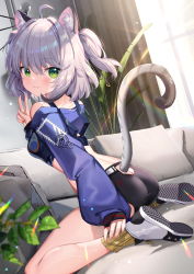 Rule 34 | 1girl, :3, absurdres, ahoge, animal ears, ass, bare shoulders, black shorts, blue shirt, breasts, cat ears, cat girl, cat planet, cat tail, character request, clothing cutout, crop top, from behind, green eyes, grey hair, highres, long sleeves, looking at viewer, looking back, medium hair, midriff, off shoulder, shanguier, shirt, shoes, short shorts, shorts, sitting, small breasts, smile, socks, solo, tail, tail raised, tail through clothes, thighs, two side up, v, wariza