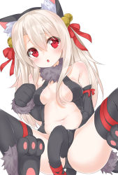 Rule 34 | 1girl, :o, animal ears, animal hands, bell, black gloves, black leotard, black thighhighs, blush, breasts, cat ears, cat tail, dangeroes beast (illya), elbow gloves, fate/kaleid liner prisma illya, fate (series), gloves, groin, hair bell, hair between eyes, hair ornament, hair ribbon, hashiko nowoto, highres, illyasviel von einzbern, jingle bell, leotard, long hair, looking at viewer, official alternate costume, open mouth, red eyes, red ribbon, ribbon, sidelocks, silver hair, simple background, sitting, small breasts, solo, spread legs, tail, tears, teeth, thighhighs, thighs, white background