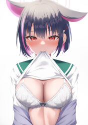 Rule 34 | 1girl, animal ears, black bow, black hair, blue archive, blush, bob cut, bow, bow bra, bra, breasts, cat ears, cleavage, closed mouth, clothes lift, colored inner hair, commentary request, floral print, green sailor collar, hair behind ear, hair ornament, hairclip, halo, highres, jacket, jacket partially removed, kazusa (blue archive), lace, lace-trimmed bra, lace trim, large breasts, lifting own clothes, linea alba, long sleeves, looking at viewer, medium hair, mouth hold, multicolored hair, pink hair, pink halo, print bra, purple jacket, raised eyebrows, red eyes, sailor collar, school uniform, serafuku, shirt lift, simple background, smile, solo, streaked hair, tatsumiya kagari, two-tone hair, underwear, upper body, white background, white bra, white serafuku