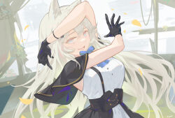 Rule 34 | 1girl, :d, absurdres, animal ears, arknights, arms up, black capelet, black gloves, blue bow, blue bowtie, blue eyes, bow, bowtie, breasts, capelet, coper maileyun, dress, gloves, grey hair, highres, indoors, lappland (arknights), long hair, looking at viewer, medium breasts, open mouth, scar, scar on face, sleeveless, sleeveless dress, smile, solo, upper body, very long hair, white dress, wind, wolf ears