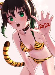 Rule 34 | 1girl, 2022, animal ear fluff, animal ears, animal print, arm between legs, armpit crease, bell, bikini, black hair, body writing, breasts, chinese zodiac, claw pose, collarbone, commentary request, eyebrows hidden by hair, fake animal ears, fake tail, fangs, gluteal fold, gradient hair, green eyes, groin, hair between eyes, highres, leaning forward, light blush, love live!, love live! nijigasaki high school idol club, multicolored hair, navel, neck bell, open hand, open mouth, rio rinosuke, sidelocks, small breasts, solo, stomach, swimsuit, tail, takasaki yu, tiger print, twintails, two-tone hair, white background, year of the tiger