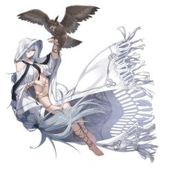 Rule 34 | animal on arm, barefoot, bird, bird on arm, breasts, cloak, counter:side, full body, grey hair, hair over one eye, highres, hood, hood up, jewelry, large breasts, long hair, merlin (counter:side), naked cloak, official art, owl, purple eyes, simple background, tachi-e, transparent background, white cloak