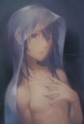 Rule 34 | 1boy, androgynous, blue eyes, blue hair, collarbone, completely nude, dated, facial mark, grey background, hair over one eye, hand up, highres, kiyonagi, kusanagi (kiyonagi), looking at viewer, male focus, nude, original, parted lips, see-through, solo, toned, toned male, upper body, veil