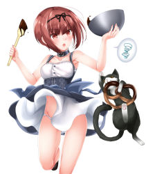 Rule 34 | &gt;:o, 10s, 1girl, :o, animal, apron, arm up, armpits, bare arms, bare legs, bare shoulders, baretto, baretto (firearms 1), black ribbon, blunt bangs, blush, bowl, brown footwear, buttons, cat, chocolate, choker, collarbone, colored sclera, corset, cross, dress, dripping, eyebrows, fingernails, food, groin, hair ribbon, hairband, holding, holding bowl, iron cross, kantai collection, loafers, midriff, mixing bowl, mouth hold, open mouth, panties, pretzel, red eyes, red hair, ribbon, shoes, simple background, slit pupils, solo, spatula, speech bubble, spoken squiggle, squiggle, standing, standing on one leg, sweatdrop, thighs, tsurime, underbust, underwear, unsinkable sam, v-shaped eyebrows, waist apron, whiskers, white background, white dress, white panties, wind, wind lift, yellow sclera, z3 max schultz (kancolle)