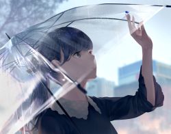 Rule 34 | 1girl, arm up, black hair, blurry, blurry background, building, commentary request, grey eyes, hair ribbon, highres, holding, holding umbrella, lips, long hair, looking up, original, outdoors, parted lips, petals, ponytail, rain, ribbon, shirt, sky, solo, sousou (sousouworks), transparent, transparent umbrella, tree, umbrella, upper body