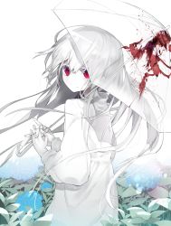 Rule 34 | 1girl, akimaki yuu, albino, bad id, bad twitter id, blood, blood splatter, blue flower, closed mouth, commentary request, dress, expressionless, eyelashes, fingernails, floating hair, flower, from behind, highres, holding, holding umbrella, long hair, long sleeves, looking at viewer, looking back, original, pale skin, red eyes, solo, umbrella, white background, white dress, white hair, white theme