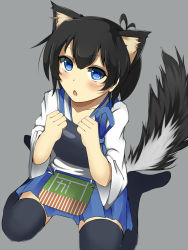 Rule 34 | 10s, 1girl, 96neko96, animal ears, black thighhighs, blue eyes, blush, breasts, brown hair, dog ears, dog tail, japanese clothes, kaga (kancolle), kantai collection, kemonomimi mode, long hair, muneate, naoto (96neko96), open mouth, personification, short hair, side ponytail, sitting, skirt, solo, tail, thighhighs, wariza