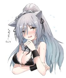Rule 34 | 1girl, animal ears, arknights, bikini, black bikini, black ribbon, blush, breasts, cat ears, cropped torso, flying sweatdrops, grey hair, highres, horn/wood, large breasts, long hair, looking at viewer, open mouth, ponytail, portrait, ribbon, schwarz (arknights), solo, swimsuit, translated, white neckwear, yellow eyes